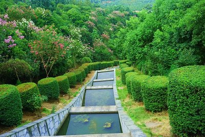 邵陽市花--紫薇扮靚