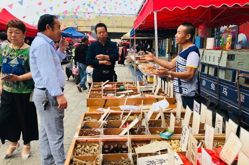 最會生活的湘潭人,都來這里趕最過癮的集 岳塘國際商貿(mào)城趕集匯第二期,明日見